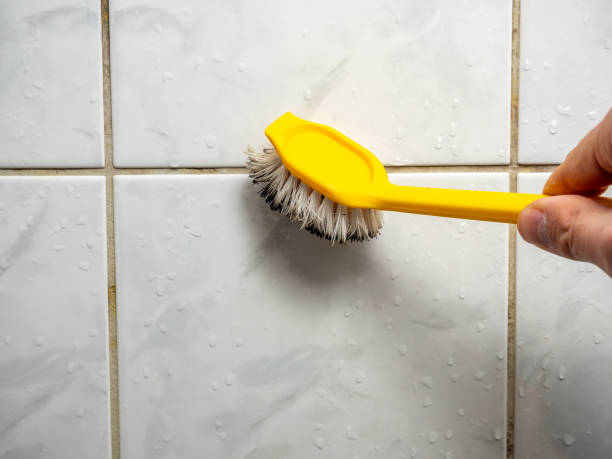 Best Mold Testing and Inspection Services in Fulton, IL